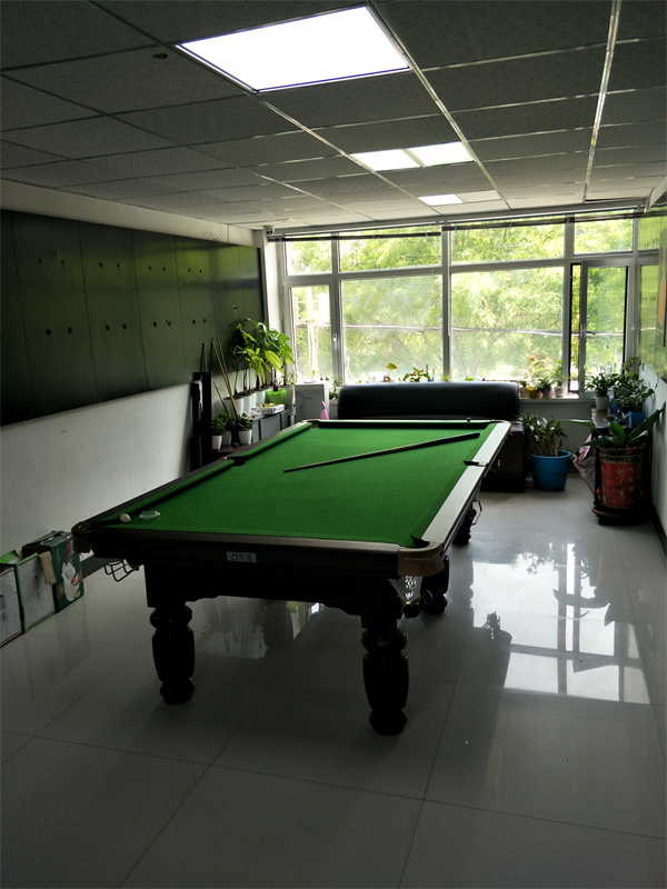 公司娱乐室