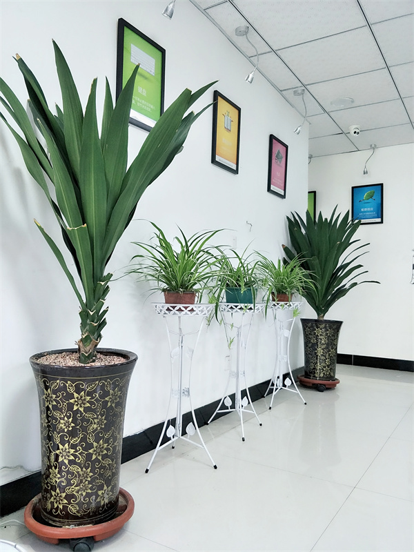 公司照片 (37).jpg